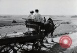Image of German farmers Wiesbaden Germany, 1954, second 40 stock footage video 65675031797