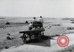 Image of German farmers Wiesbaden Germany, 1954, second 46 stock footage video 65675031797