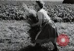Image of German farmers Wiesbaden Germany, 1954, second 56 stock footage video 65675031797