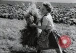 Image of German farmers Wiesbaden Germany, 1954, second 57 stock footage video 65675031797