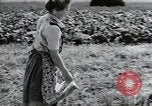 Image of German farmers Wiesbaden Germany, 1954, second 61 stock footage video 65675031797