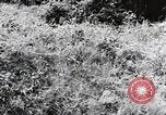 Image of damaged buildings Mainz Germany, 1954, second 6 stock footage video 65675031799