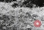 Image of damaged buildings Mainz Germany, 1954, second 7 stock footage video 65675031799