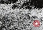 Image of damaged buildings Mainz Germany, 1954, second 8 stock footage video 65675031799