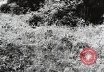 Image of damaged buildings Mainz Germany, 1954, second 9 stock footage video 65675031799
