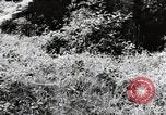 Image of damaged buildings Mainz Germany, 1954, second 11 stock footage video 65675031799