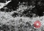 Image of damaged buildings Mainz Germany, 1954, second 12 stock footage video 65675031799