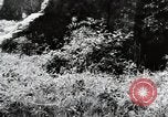 Image of damaged buildings Mainz Germany, 1954, second 13 stock footage video 65675031799
