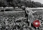 Image of German farmers Wiesbaden Germany, 1954, second 20 stock footage video 65675031800