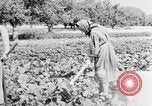 Image of German farmers Wiesbaden Germany, 1954, second 27 stock footage video 65675031800