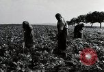 Image of German farmers Wiesbaden Germany, 1954, second 31 stock footage video 65675031800