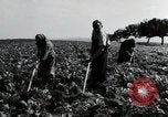 Image of German farmers Wiesbaden Germany, 1954, second 32 stock footage video 65675031800