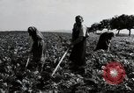Image of German farmers Wiesbaden Germany, 1954, second 33 stock footage video 65675031800
