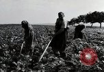 Image of German farmers Wiesbaden Germany, 1954, second 34 stock footage video 65675031800