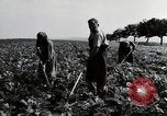 Image of German farmers Wiesbaden Germany, 1954, second 35 stock footage video 65675031800