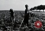 Image of German farmers Wiesbaden Germany, 1954, second 36 stock footage video 65675031800
