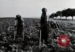 Image of German farmers Wiesbaden Germany, 1954, second 37 stock footage video 65675031800
