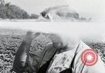Image of German farmers Wiesbaden Germany, 1954, second 38 stock footage video 65675031800