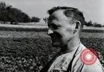 Image of German farmers Wiesbaden Germany, 1954, second 39 stock footage video 65675031800