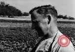 Image of German farmers Wiesbaden Germany, 1954, second 40 stock footage video 65675031800