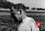 Image of German farmers Wiesbaden Germany, 1954, second 41 stock footage video 65675031800
