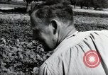 Image of German farmers Wiesbaden Germany, 1954, second 42 stock footage video 65675031800