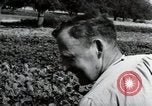 Image of German farmers Wiesbaden Germany, 1954, second 43 stock footage video 65675031800