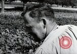 Image of German farmers Wiesbaden Germany, 1954, second 45 stock footage video 65675031800