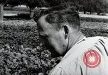 Image of German farmers Wiesbaden Germany, 1954, second 46 stock footage video 65675031800
