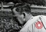 Image of German farmers Wiesbaden Germany, 1954, second 47 stock footage video 65675031800