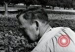 Image of German farmers Wiesbaden Germany, 1954, second 48 stock footage video 65675031800