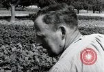 Image of German farmers Wiesbaden Germany, 1954, second 49 stock footage video 65675031800