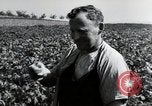 Image of German farmers Wiesbaden Germany, 1954, second 50 stock footage video 65675031800