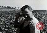 Image of German farmers Wiesbaden Germany, 1954, second 51 stock footage video 65675031800