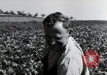 Image of German farmers Wiesbaden Germany, 1954, second 52 stock footage video 65675031800