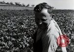 Image of German farmers Wiesbaden Germany, 1954, second 53 stock footage video 65675031800