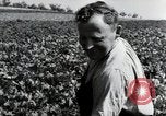 Image of German farmers Wiesbaden Germany, 1954, second 54 stock footage video 65675031800