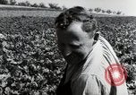 Image of German farmers Wiesbaden Germany, 1954, second 55 stock footage video 65675031800