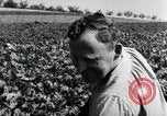 Image of German farmers Wiesbaden Germany, 1954, second 56 stock footage video 65675031800