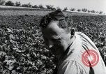 Image of German farmers Wiesbaden Germany, 1954, second 57 stock footage video 65675031800