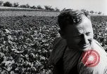 Image of German farmers Wiesbaden Germany, 1954, second 58 stock footage video 65675031800