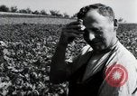 Image of German farmers Wiesbaden Germany, 1954, second 60 stock footage video 65675031800