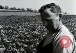Image of German farmers Wiesbaden Germany, 1954, second 61 stock footage video 65675031800