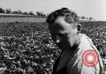Image of German farmers Wiesbaden Germany, 1954, second 62 stock footage video 65675031800