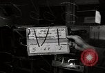 Immagine di Decimo ricognizione tattica ala Germania, 1955, secondo 1 filmato di repertorio 65675031814