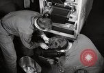 Immagine di Decimo ricognizione tattica ala Germania, 1955, secondo 42 filmato di repertorio 65675031814