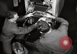 Immagine di Decimo ricognizione tattica ala Germania, 1955, secondo 51 filmato di repertorio 65675031814