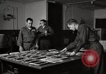 Immagine di Decimo ricognizione tattica ala Germania, 1955, secondo 16 filmato di repertorio 65675031817