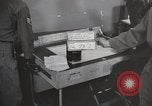 Immagine di Decimo ricognizione tattica ala Germania, 1955, secondo 23 filmato di repertorio 65675031820
