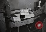 Immagine di Decimo ricognizione tattica ala Germania, 1955, secondo 24 filmato di repertorio 65675031820